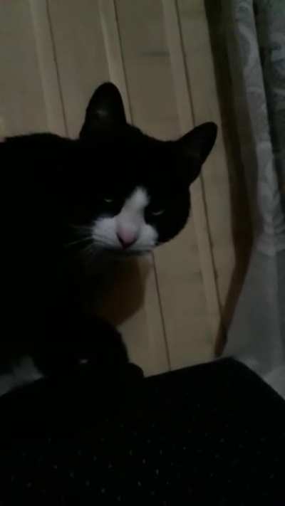 Cara de pene