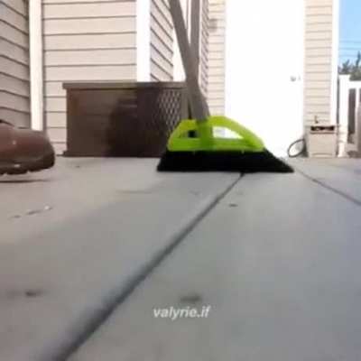 Maaa!