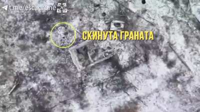 Ukrainian FPV drone hits Russian infantry soldiers