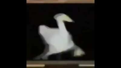 yes