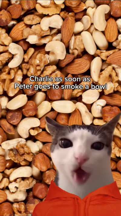 Dumb thing I made