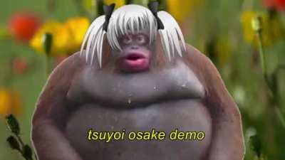 Dameyo.