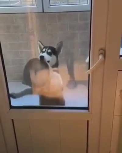 Сегодня будет туса