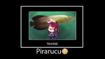 Pirarucu😎