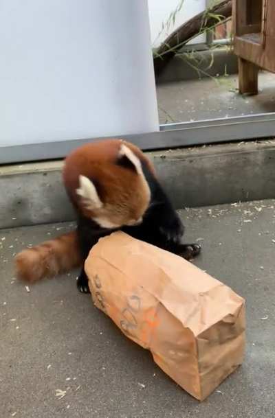 Gimli paying with some enrichment