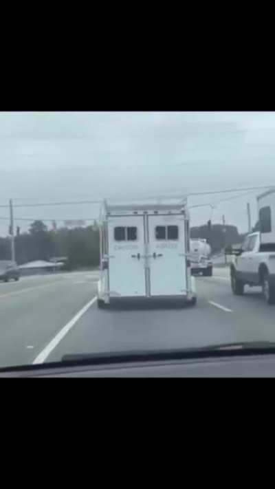 Caution Horses