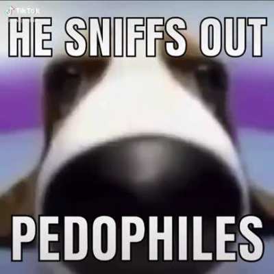 He Has A Nose For This Stuff