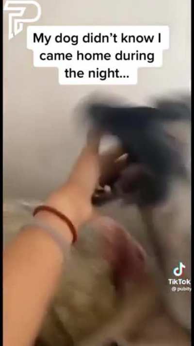 aaA!