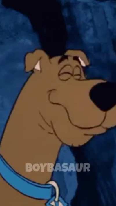 Shaggy breakin stuff