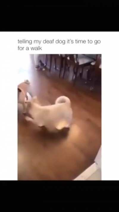 The excited jump <3