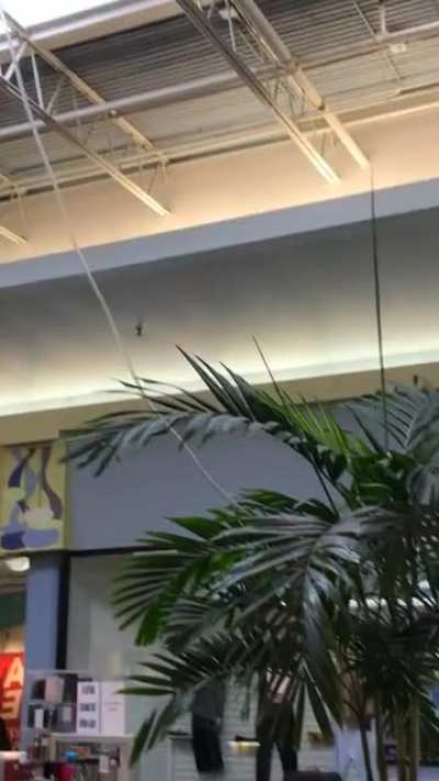 My local mall has an interesting way of dealing with leaks.