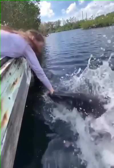 OMG
