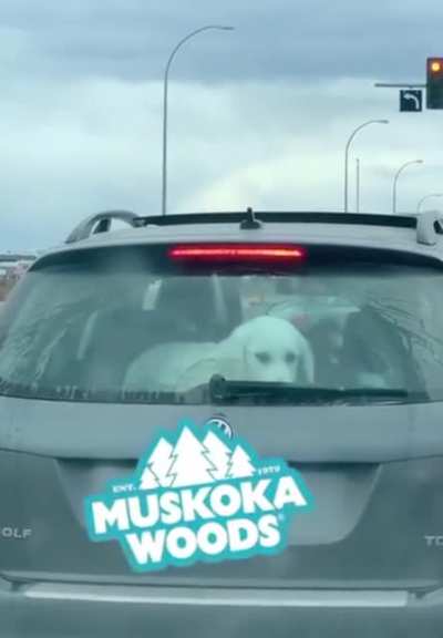 Heckin invisible force field.