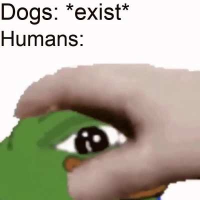 who's a good boy?