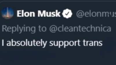Oh, Elon...