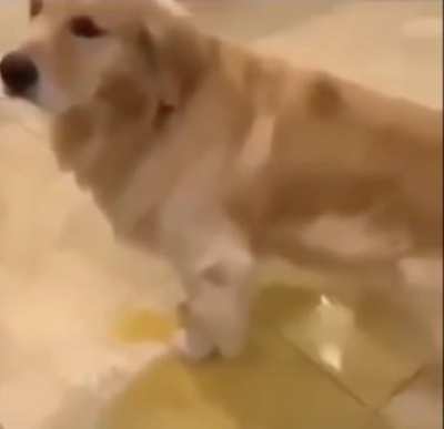 worp