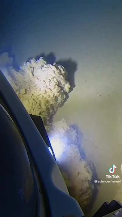 visiting the bottom of the earth