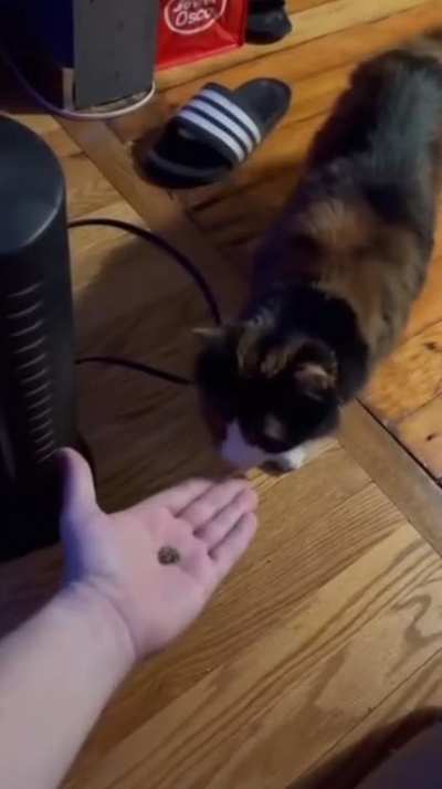 :(
