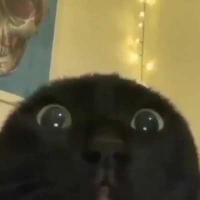 •__•