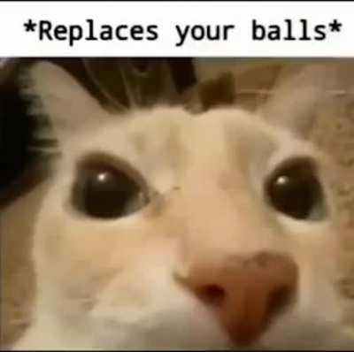 Nice balls my friend