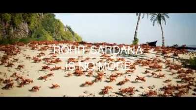 🦀🦀🦀🦀🦀