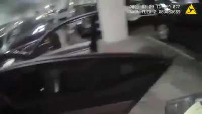 Cops Save Two Dogs in Distress Inside a Hot Car