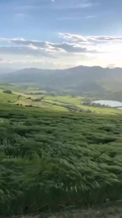 Cold Breeze of Wind