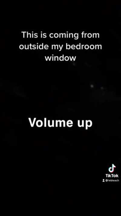 Ive been hearing this outside my window since 12:30am.