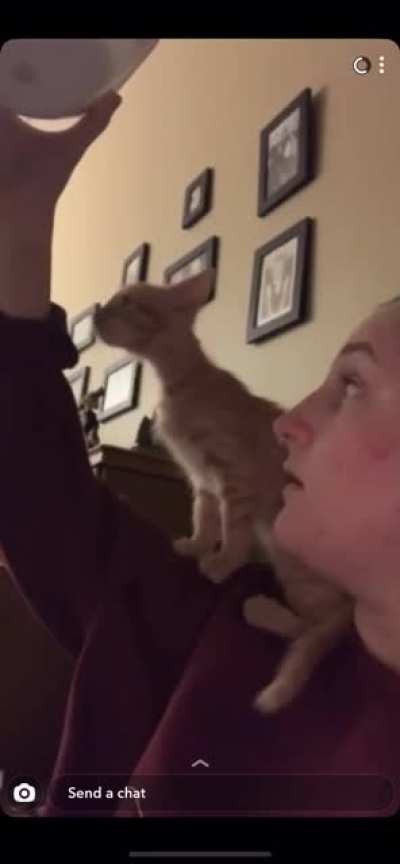 My brother’s girlfriend fosters kittens, and this one loves to scream.