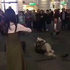 One of the best street performers that I've ever seen