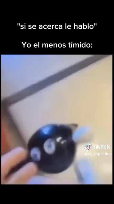 Yo con las feminas