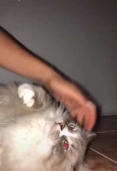Ну неееет, хватит, ну хватит!