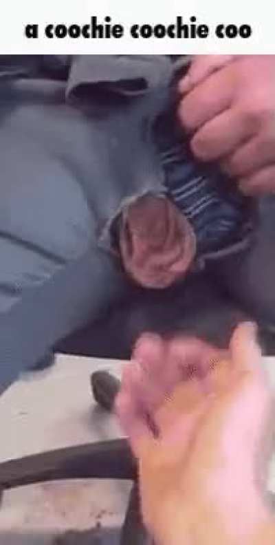 tickle tickle