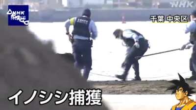 Police in action