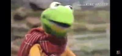 Kermit’s death caught on camera