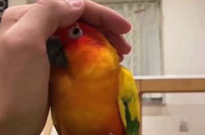 Take this as a sign of trust