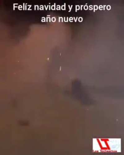Ano Nuevo*