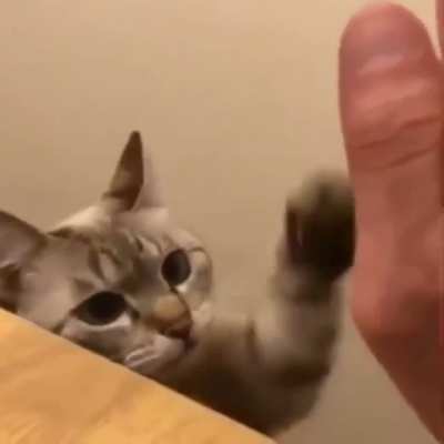 High five and a wink.