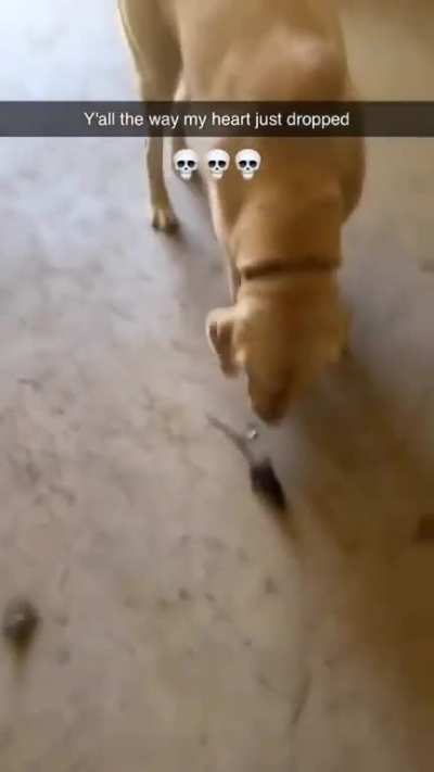 Never heard somebody scream like this...