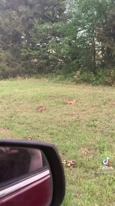 He can’t be touched