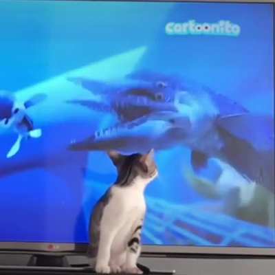 Kitten Nebula and the cartoon sea snake