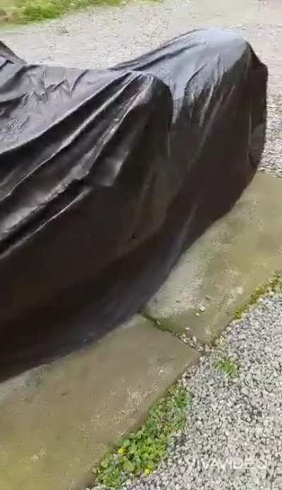 Очеви<wbr>дно мотоц<wbr>икл