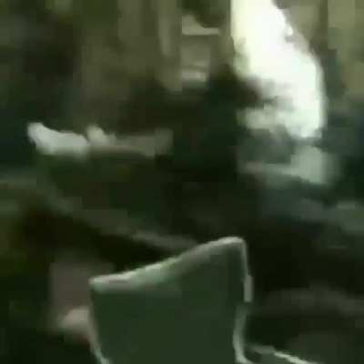 Xd