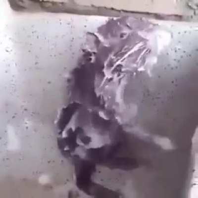 Finally found a subreddit for me