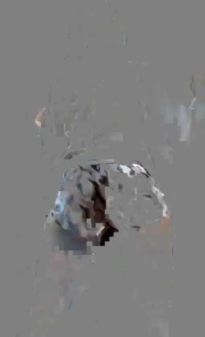 Miss.<wbr>Aylat<wbr>hegod<wbr>dess Compilation