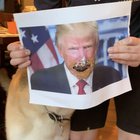 Thanks, I hate dog tongue Trump