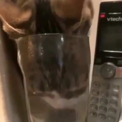 Blublbublbublbulublbulb