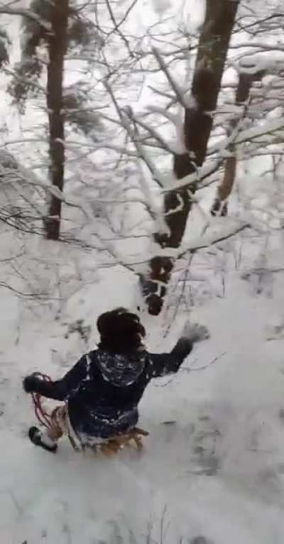 Sleddin'