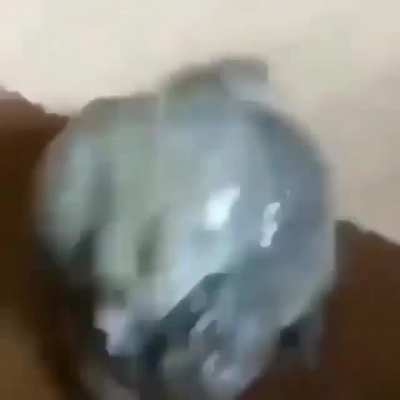 frogge