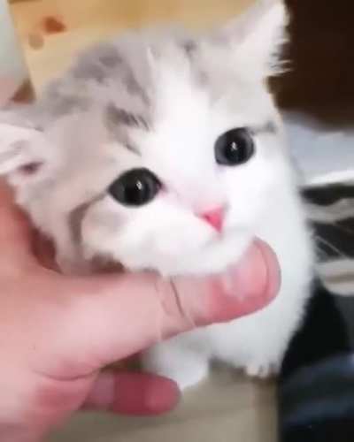 Soooo Sweet 😍